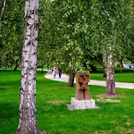 Green view apartment / Kochanowskiego